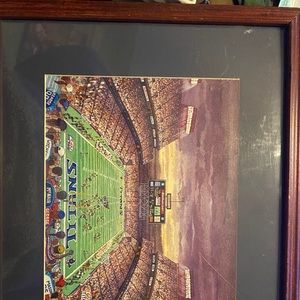 Tennessee Titans picture